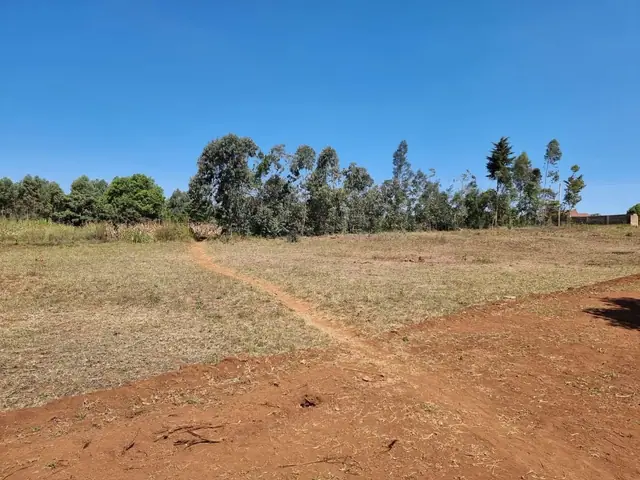 Kikuyu Kamangu plot for sale — photo 4