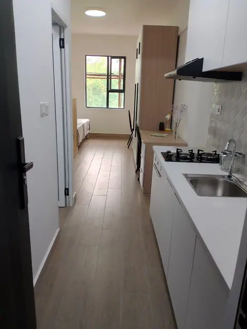 Studio Apartments For Sale In Juja, Thika Ruiru — photo 2