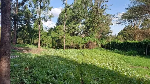 Land For Sale In Riruta, Kabiria Road — photo 11