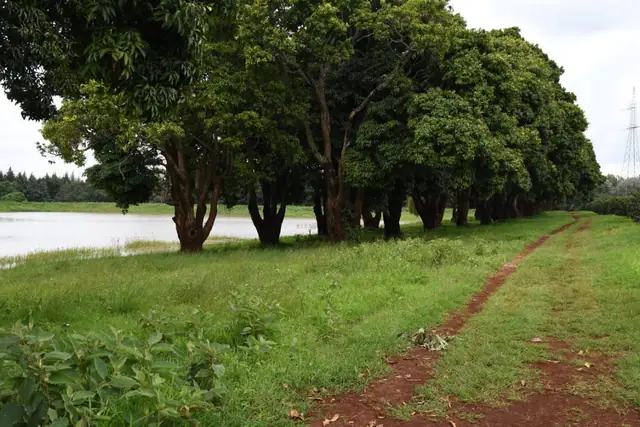 Zuri Springs Plots for sale in Juja, Kiambu — photo 1