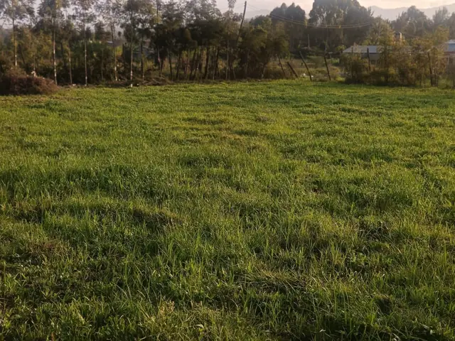 0.5 Acre Plot For Sale In Ngong, Oloolua — photo 1