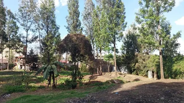 Land For Sale In Riruta, Kabiria Road — photo 15