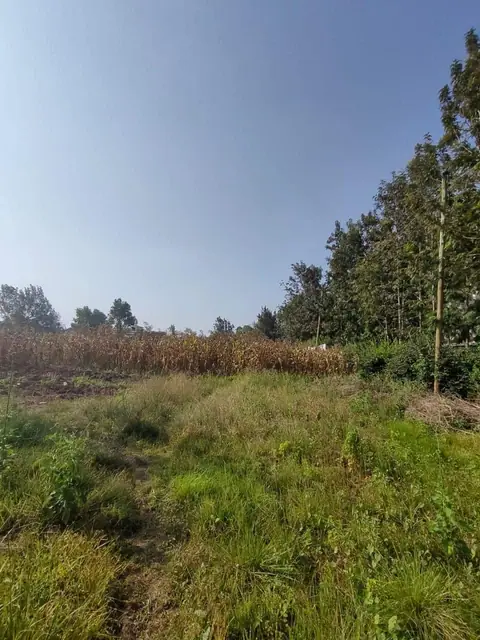 1.5 Acre Plot For Sale In Karen, Nairobi — photo 9