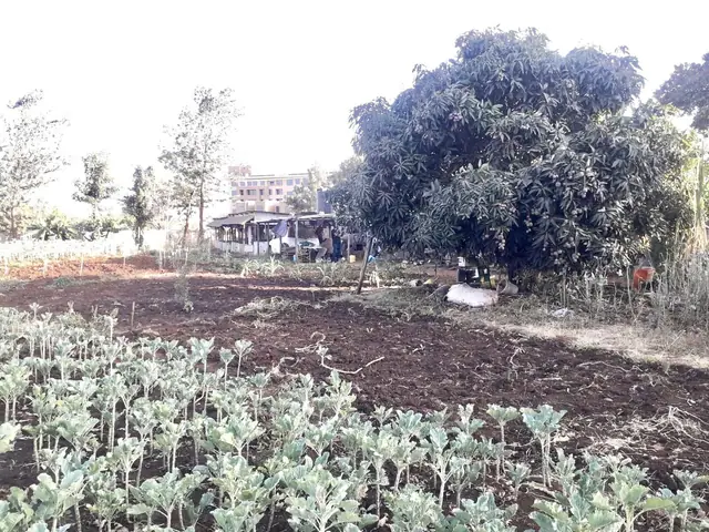 Plot for sale in Thome, Thika road — photo 1
