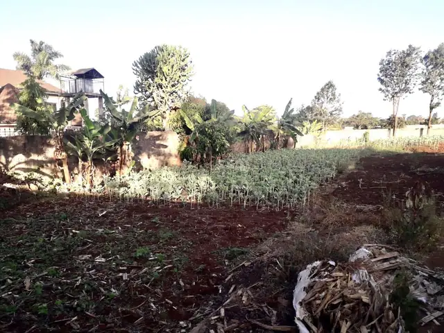 Plot for sale in Thome, Thika road — photo 5