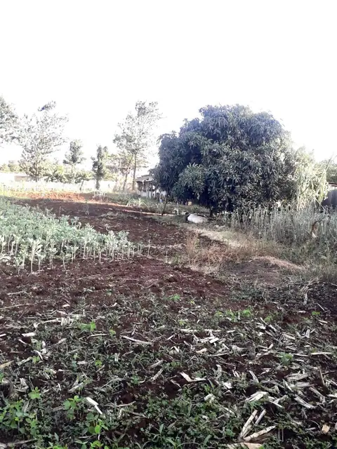 Plot for sale in Thome, Thika road — photo 6