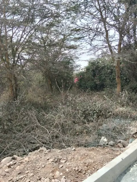 2.5 Acres Land For Sale In Mlolongo, Mombasa Road — photo 2
