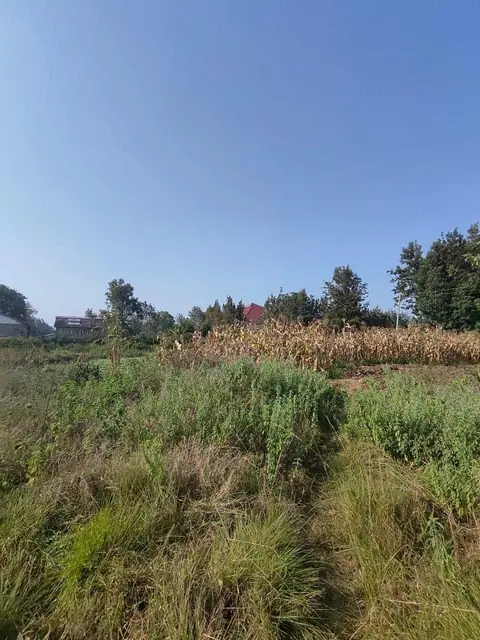 1.5 Acre Plot For Sale In Karen, Nairobi — photo 7