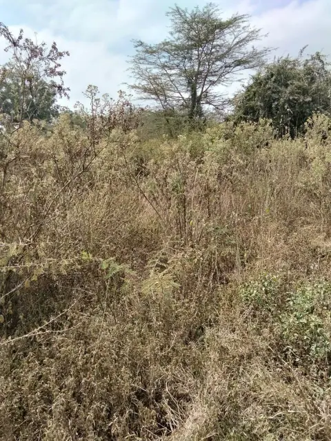 2.5 Acres Land For Sale In Mlolongo, Mombasa Road — photo 3