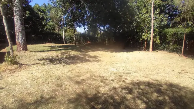 0.5 Acre Plot For Sale In Loresho, Nairobi — photo 4