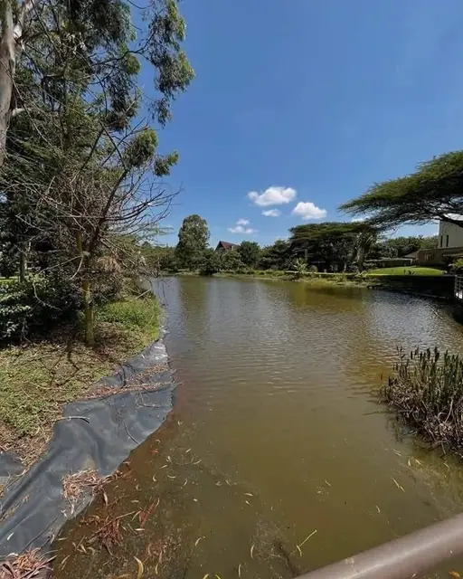 5 Bedroom Villa For Sale In Karen, Langata Road — photo 12