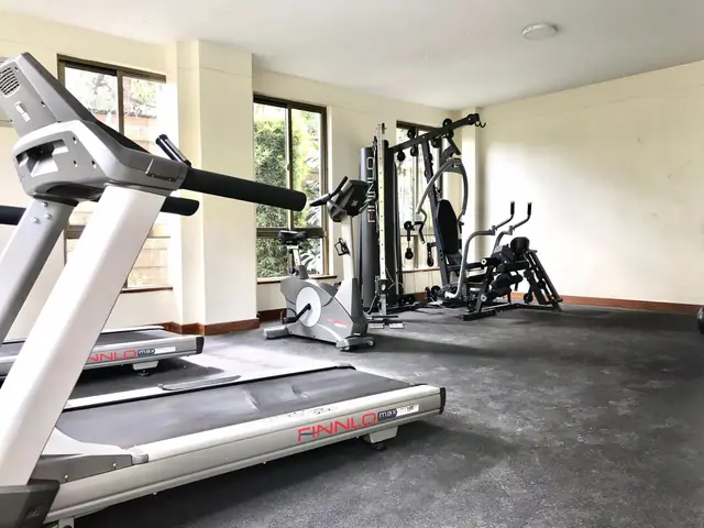 2 & 3 Bedroom Apartment For Rent in Kileleshwa, Othaya Road — photo 24