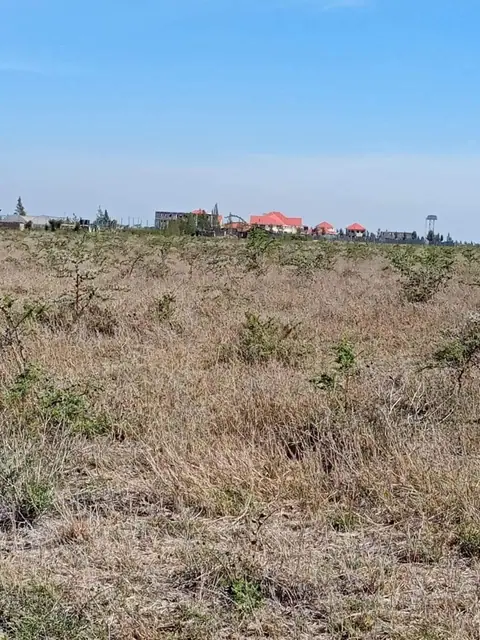 Joska Sunshine, 1/4 Plots For Sale In Joska Kagundo Road — photo 2