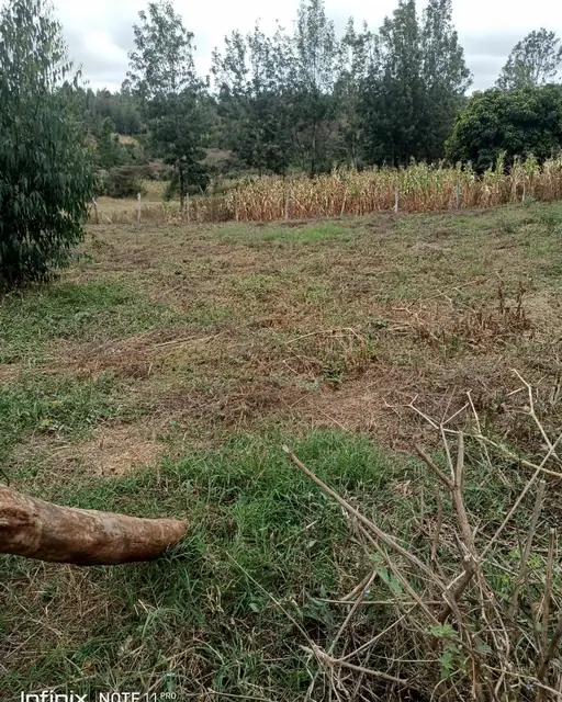 1/2 Acre Plot For Sale In Ngong Olkeri — photo 3