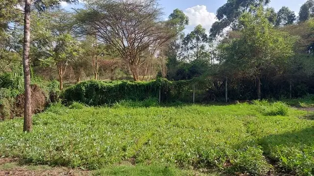 Land For Sale In Riruta, Kabiria Road — photo 18