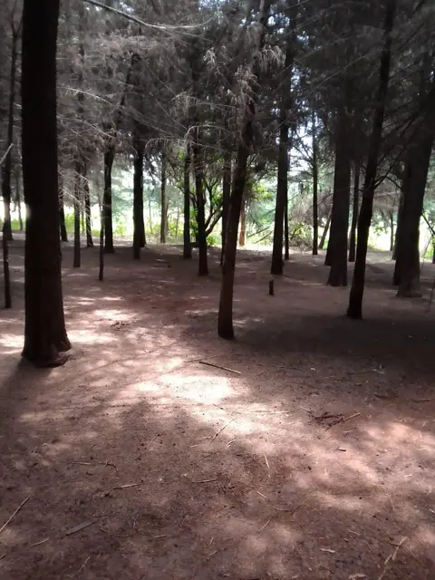 Zuri Springs Plots for sale in Juja, Kiambu — photo 3