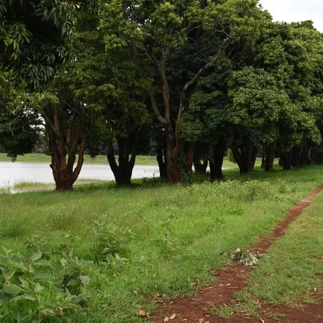 Zuri Springs Plots for sale in Juja, Kiambu — photo 5