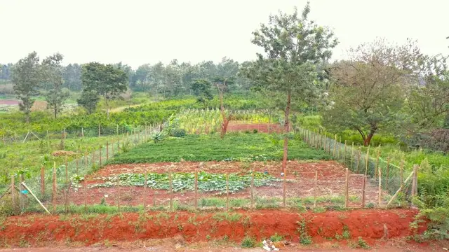 Oarkland Plots for sale in Ruiru, Kiambu — photo 1