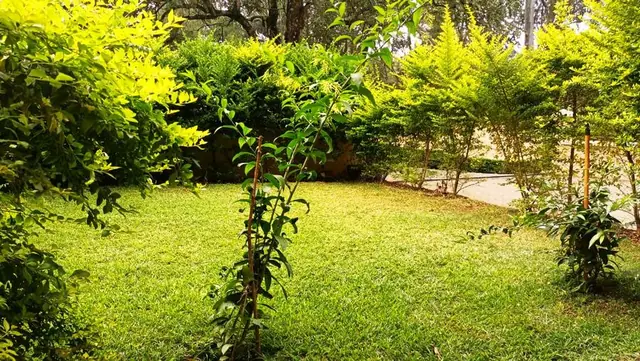 5 Bedroom Townhouse For Rent In Lavington, Chalbi Drive — photo 22