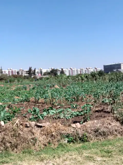 5 Acre For Sale In Mlolongo, Mombasa Road — photo 9