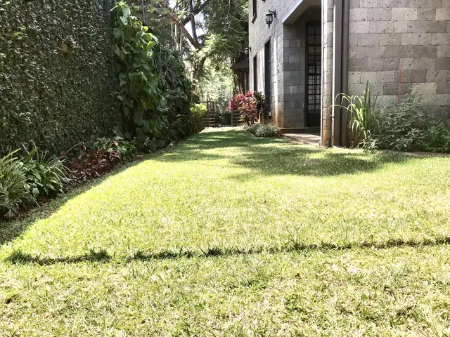 4 Bedroom Townhouse For Rent In Westlands, Peponi Road — photo 1