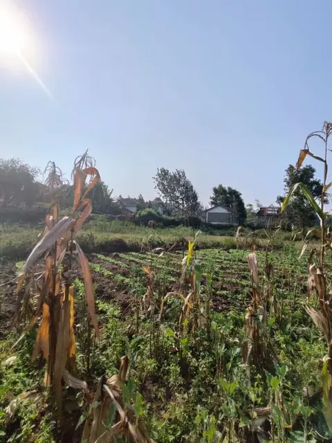 1.5 Acre Plot For Sale In Karen, Nairobi — photo 3