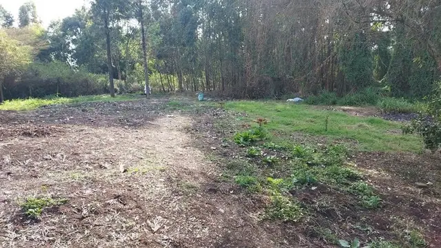 Land For Sale In Riruta, Kabiria Road — photo 7