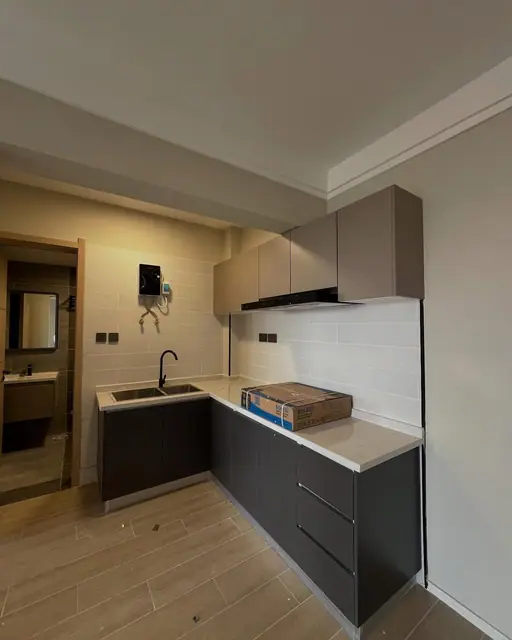 Newly Built 1 & 2 Bedroom Apartments For Rent In Lavington, Gitanga Road — photo 2