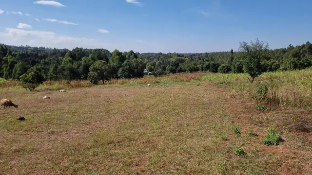 Kikuyu Kamangu plot for sale — photo 5