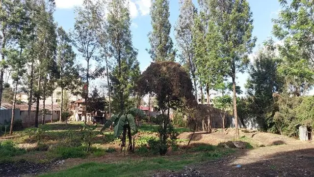 Land For Sale In Riruta, Kabiria Road — photo 4