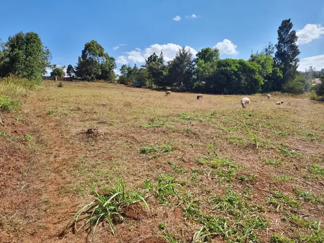 Kikuyu Kamangu plot for sale — photo 1