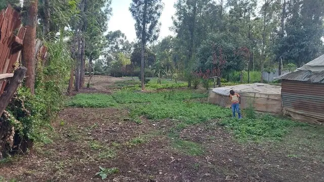 Land For Sale In Riruta, Kabiria Road — photo 6