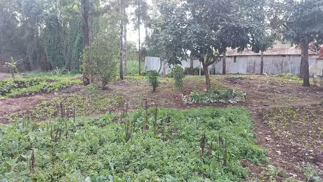 Land For Sale In Riruta, Kabiria Road — photo 12