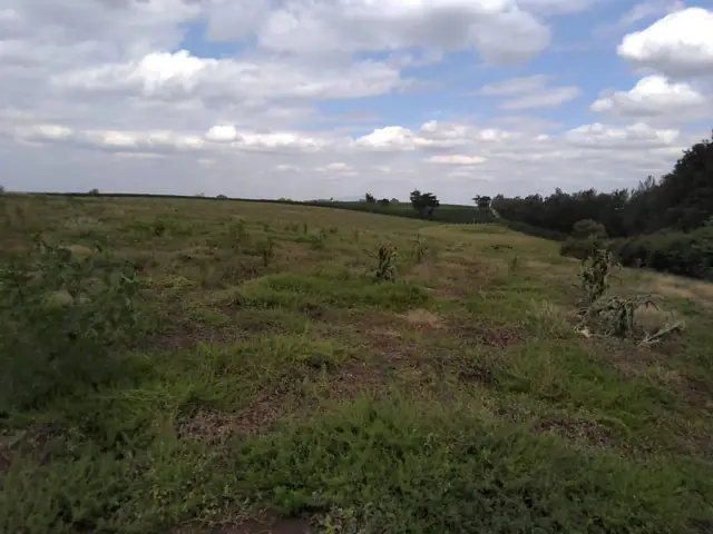Zuri Springs Plots for sale in Juja, Kiambu — photo 8