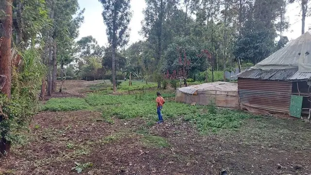 Land For Sale In Riruta, Kabiria Road — photo 19