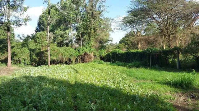 Land For Sale In Riruta, Kabiria Road — photo 16