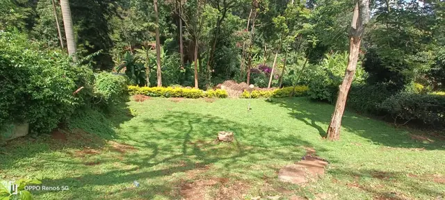 Half Acre Plot For Sale In Loresho, Nairobi — photo 2