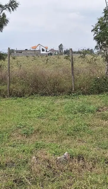 1/8 Acre Plots For Sale In Syokimau Off Katani Road — photo 8