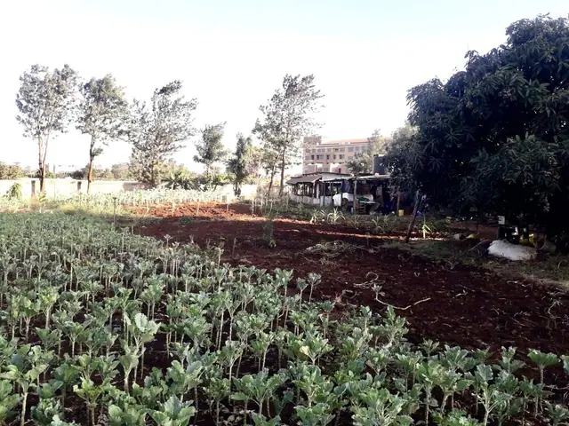 Plot for sale in Thome, Thika road — photo 3