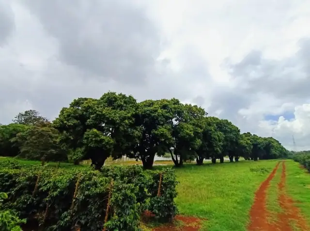 Zuri Springs Plots for sale in Juja, Kiambu — photo 4