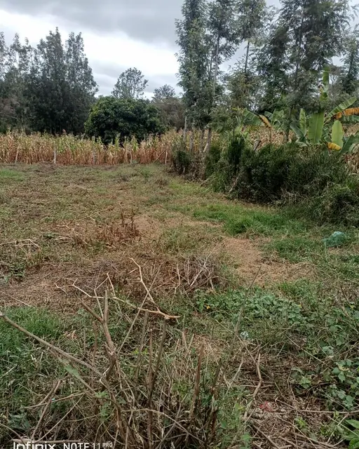 1/2 Acre Plot For Sale In Ngong Olkeri — photo 4