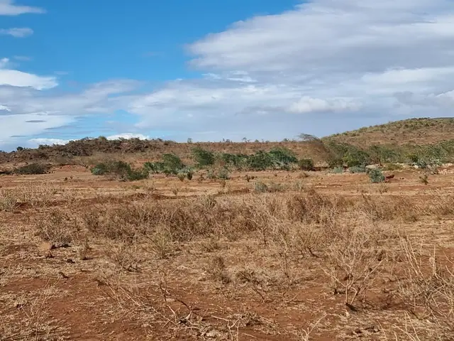 5 Acre plot for sale in Kikuyu, Nachu — photo 4