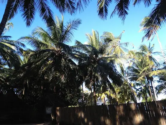 KINGSWOOD – Land For Sale In Kilifi, Vipingo Ridge — photo 10
