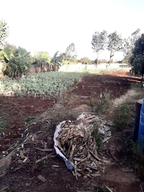 Plot for sale in Thome, Thika road — photo 8