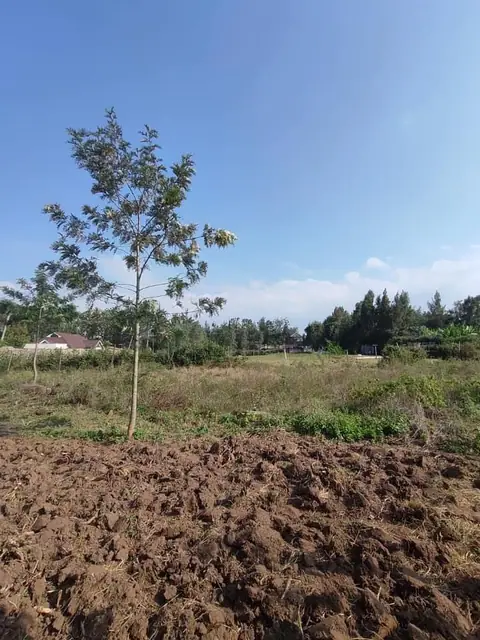 1.5 Acre Plot For Sale In Karen, Nairobi — photo 6