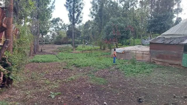 Land For Sale In Riruta, Kabiria Road — photo 17