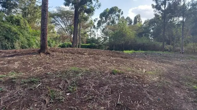 Land For Sale In Riruta, Kabiria Road — photo 5