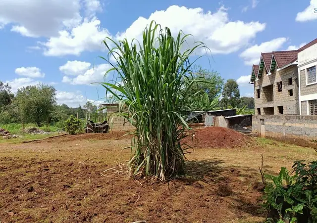 Plot for sale in Ruiru Thika Road, Kiambu — photo 1