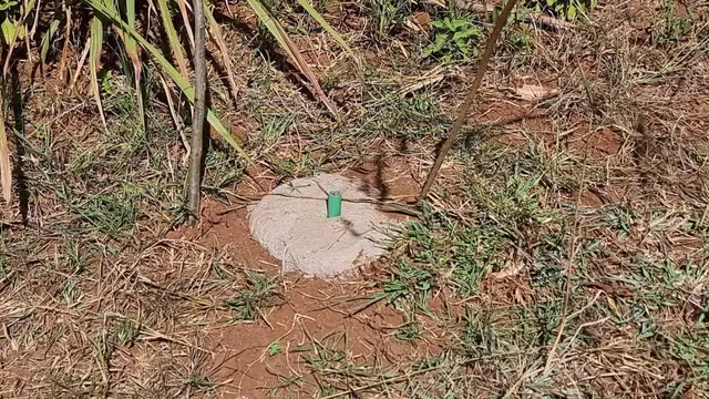 Kikuyu Kamangu plot for sale — photo 3