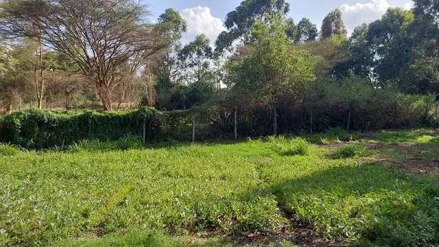 Land For Sale In Riruta, Kabiria Road — photo 3